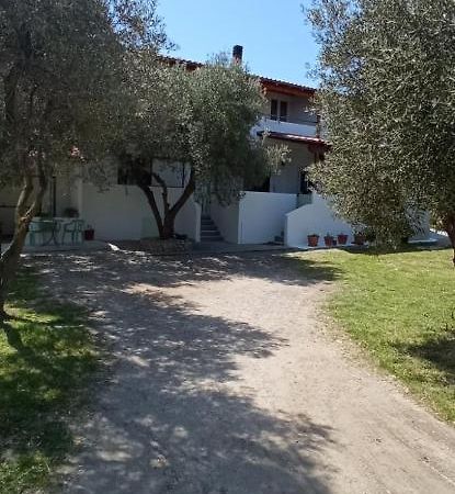 House Eugenia Sarti Apartment Bagian luar foto