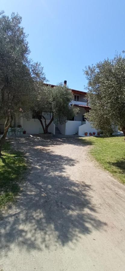 House Eugenia Sarti Apartment Bagian luar foto