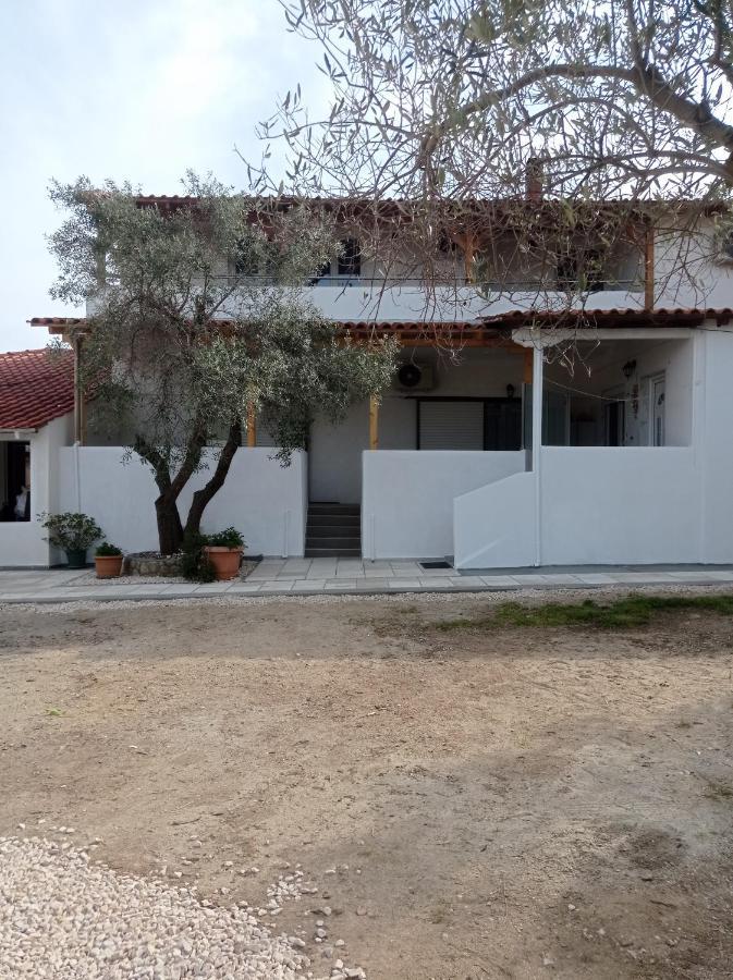 House Eugenia Sarti Apartment Bagian luar foto